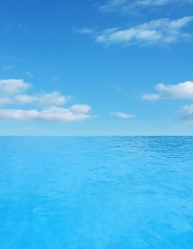 Titolo del paragrafo