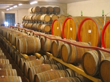 Montepulciano Cantina