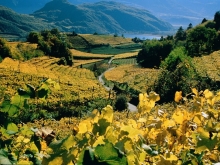 Caldaro vigneti e lago